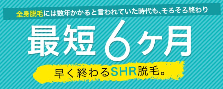 SASALA最短6ヶ月